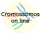 Cromossomos Online